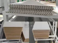 2-20mm Board Thickness Hollow Profile Sheet Extrusion Line With Customizable Colors
